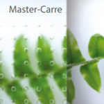 DP-Master-Carre