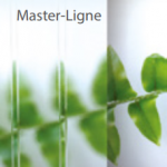 DP-Master-Ligne