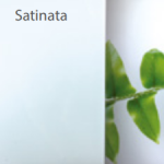 DP-Satinata