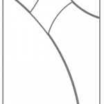 DP36